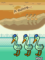 Screenshot DS Blue Birds End FR.png