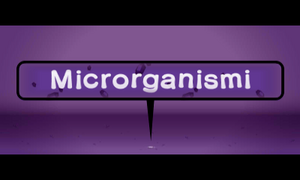 Prologue 3DS Micro-Row IT.png