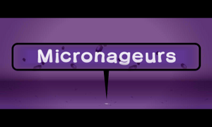 Prologue 3DS Micro-Row FR.png