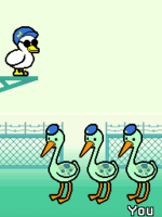 Screenshot DS Blue Birds.png