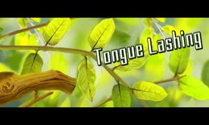 Prologue 3DS Tongue Lashing.png
