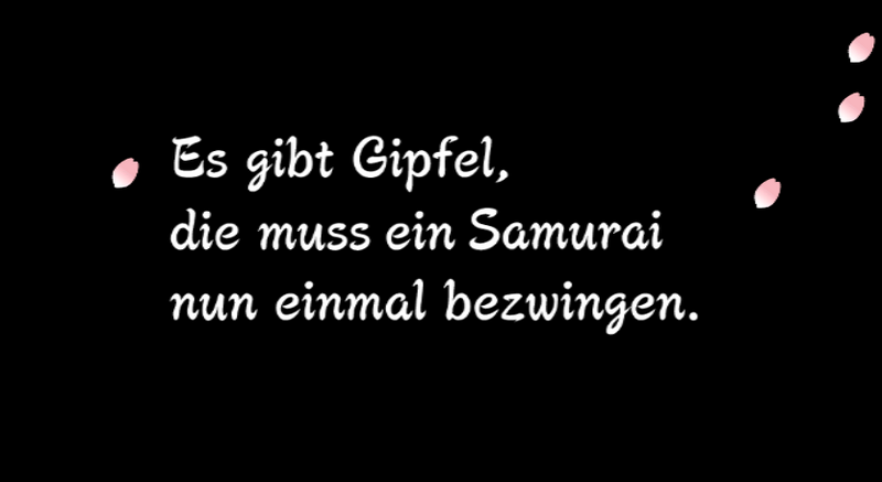 File:Screenshot Wii Remix 4 Text DE.png