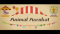 Animal Acrobat